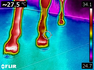 Termografía de la mano sana antes del tratamiento: lectura aproximada de 27,5 °C