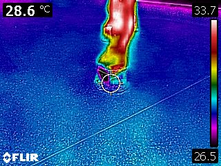 Termografía de la mano afectada cinco minutos después de aplicar Cold2Horse: lectura de 28,6 °C