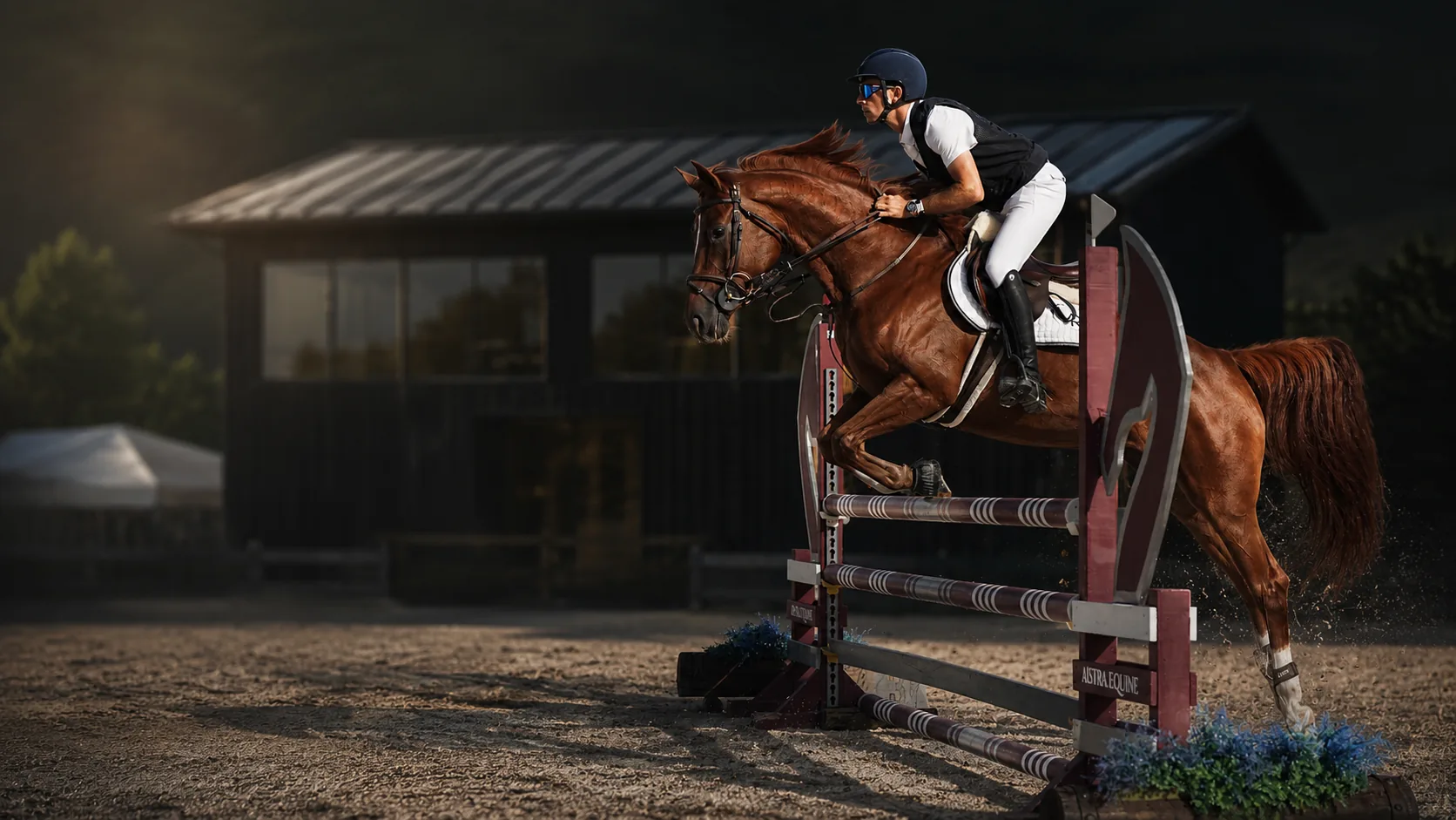 Jinete y caballo castaño saltando un obstáculo sobre la pista de arena, con las cuadras al fondo